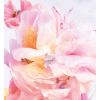 Buchet înflorit Miss Dior