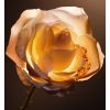 Reîncărcare Dior Prestige Le Nectar Premier