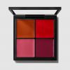 Paleta Pro Face: Blush